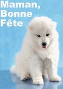 Un petit chien pour une maman aimante